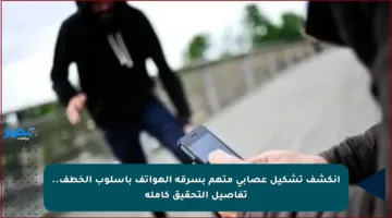 انكشف تشكيل عصابي متهم بسرقة الهواتف بأسلوب الخطف.. تفاصيل التحقيق كاملة